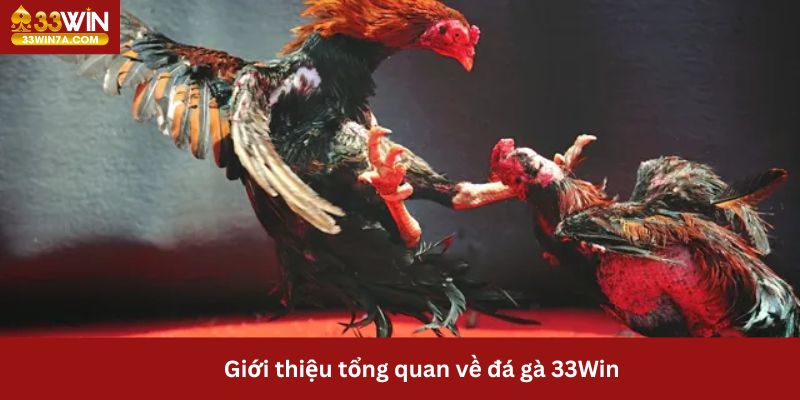 Tổng quan về cá cược đá gà 33Win tại nhà cái hàng đầu