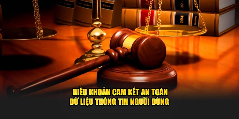 Điều khoản cam kết an toàn dữ liệu thông tin người dùng 